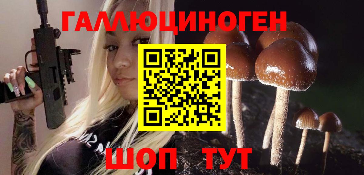 Галлюциногенные грибы мухоморы Курск