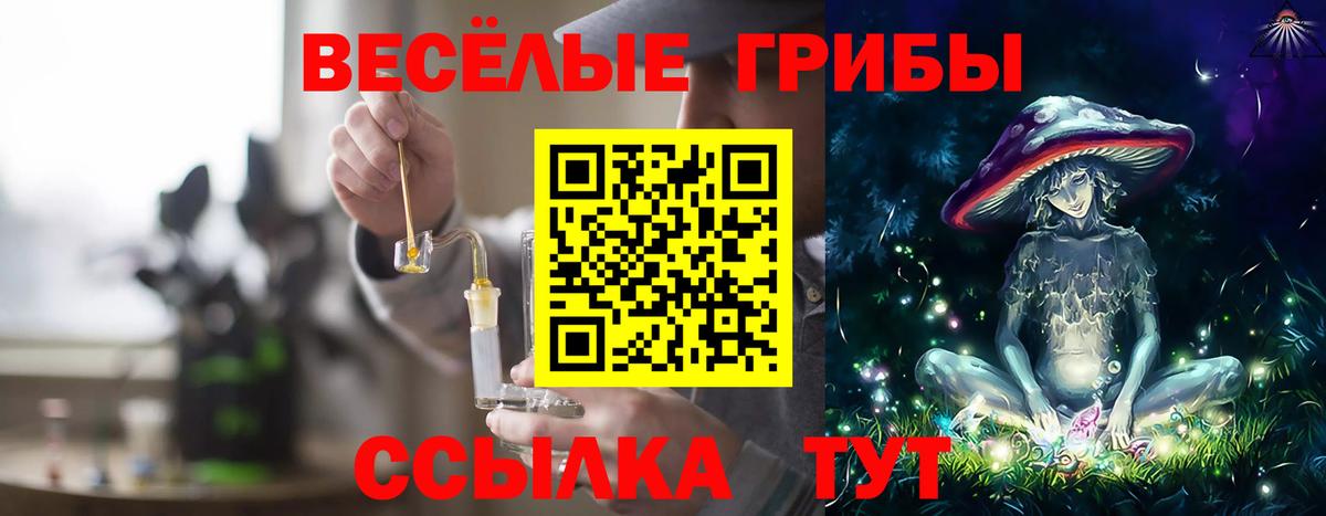 Курск  Псилоцибиновые грибы Magic Shrooms  Вход с VPN  Псилоцибиновые грибы Cubensis 